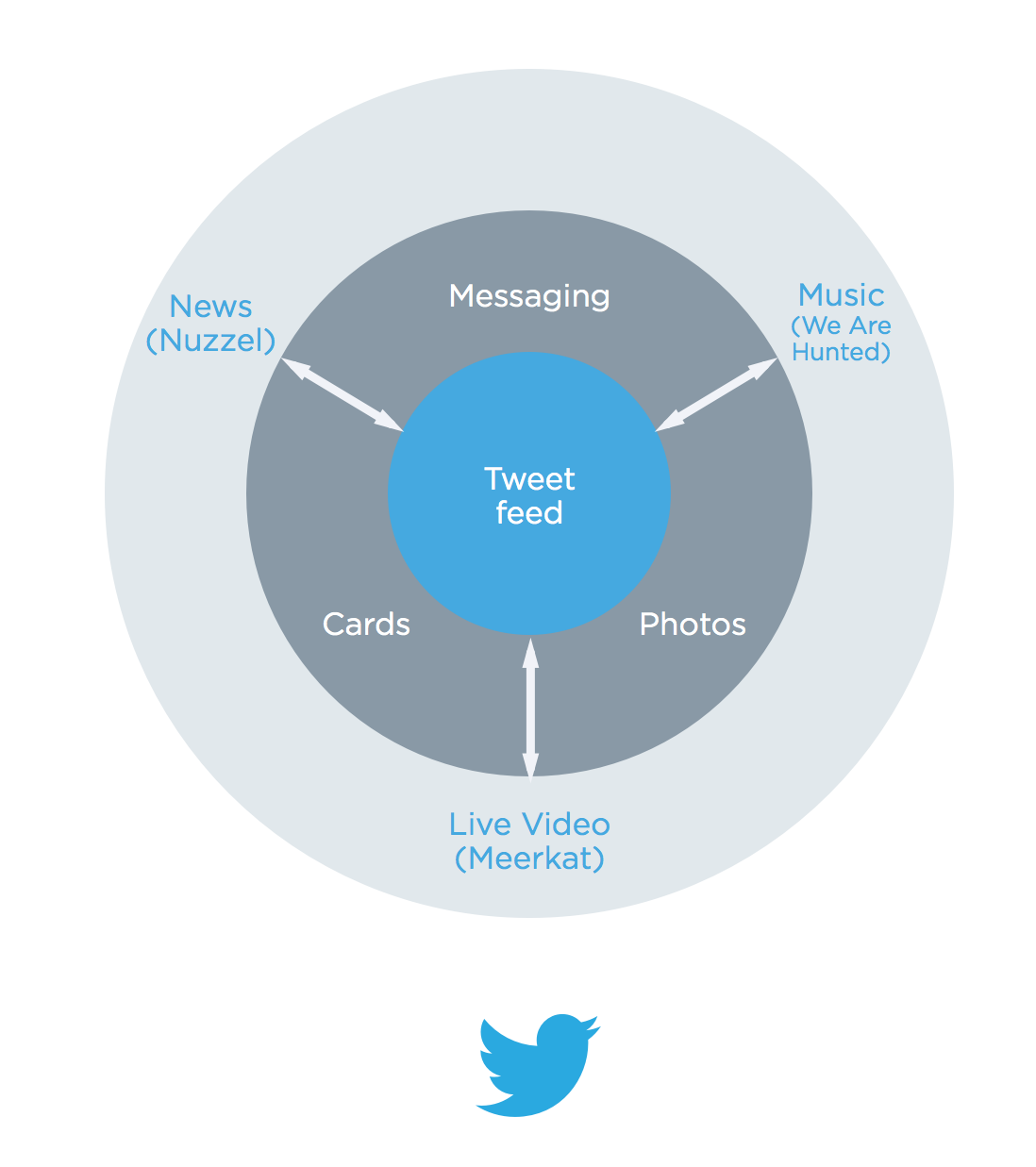 The Twitter Network